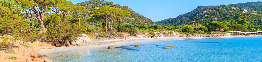 Plage paradisiaque près de Porto Vechhio