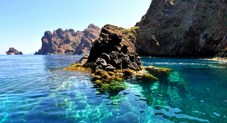 Réserve de Scandola en Corse du Sud